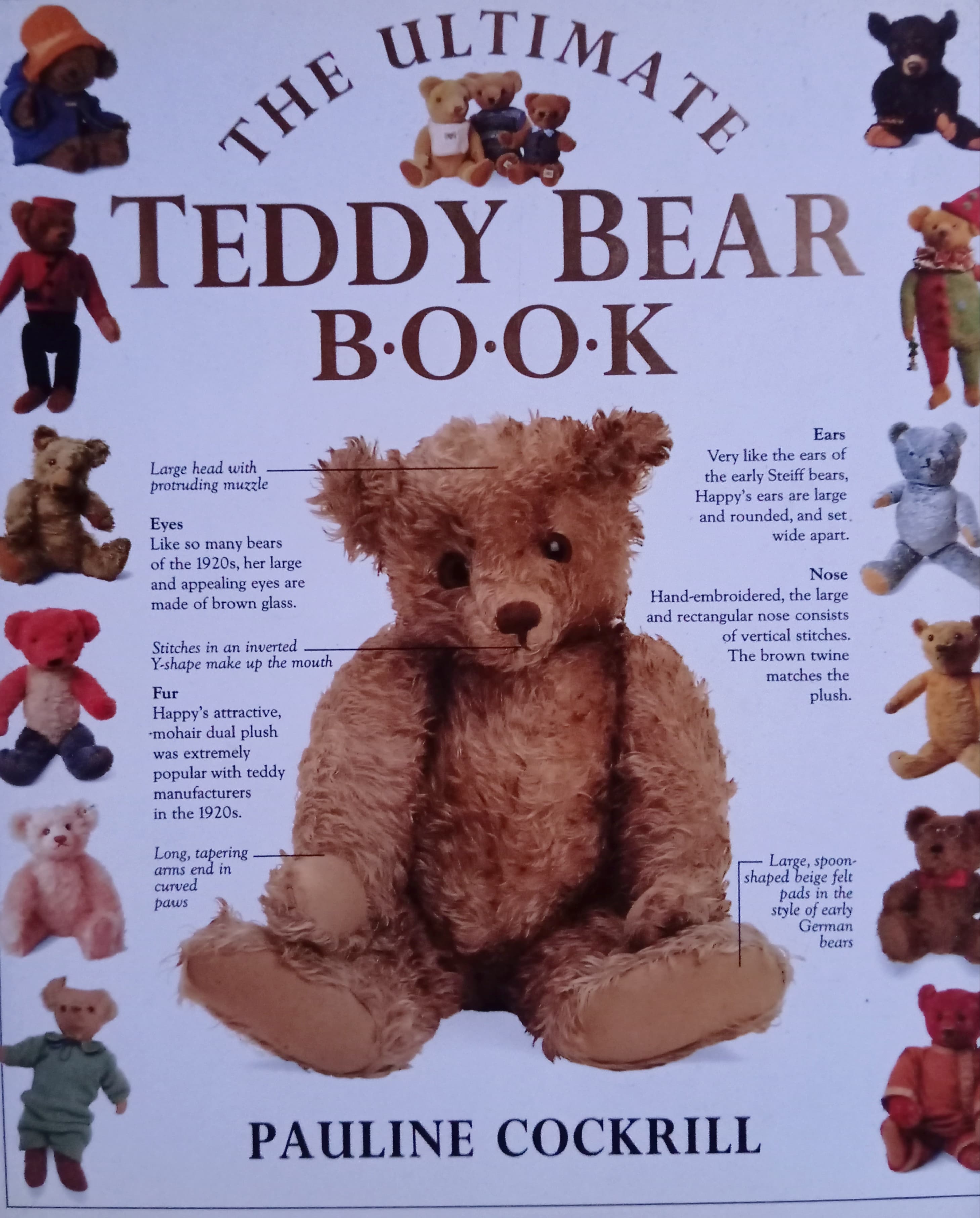 The Ultimate Teddy Bear Book