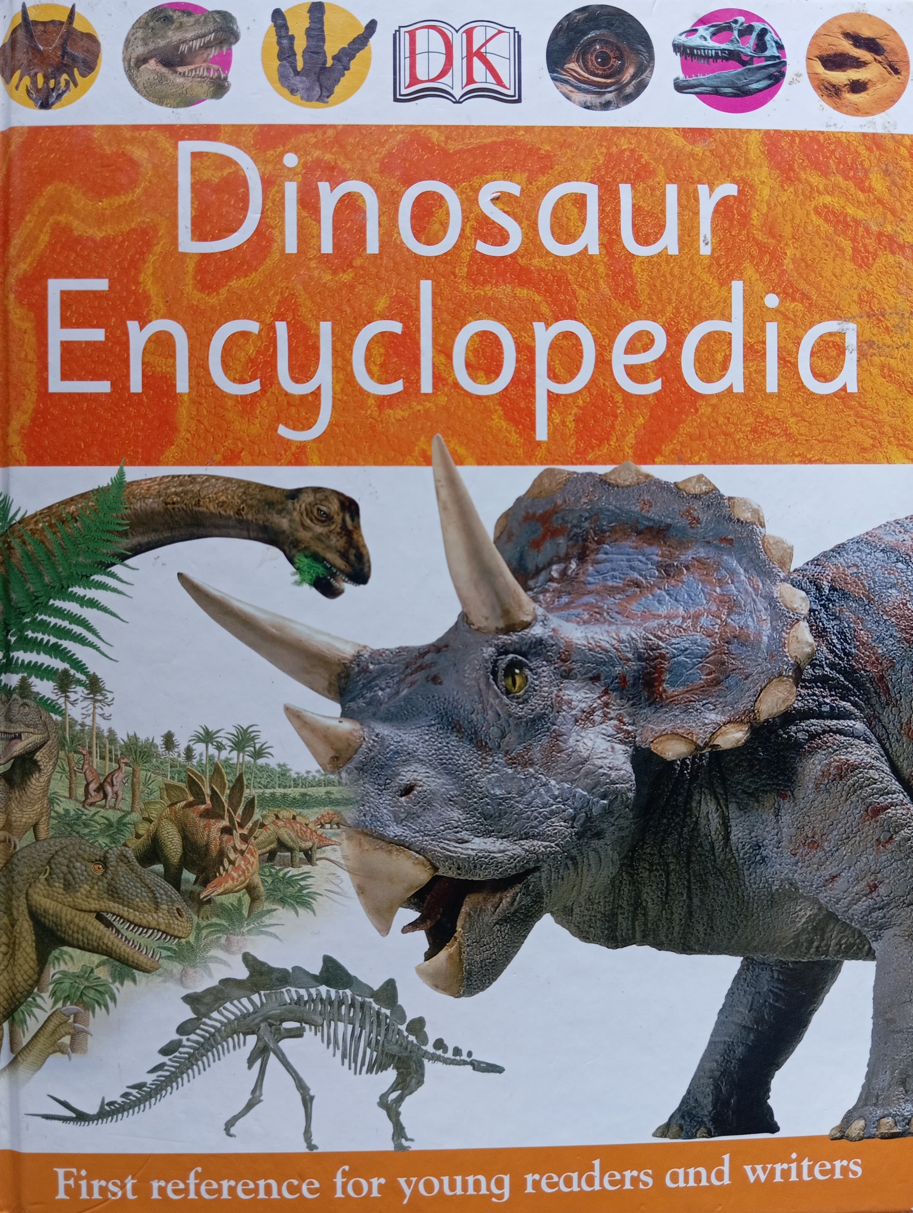 Dinosaur EncyclopediaVolcano & Earthquake- EyeWitness Books
