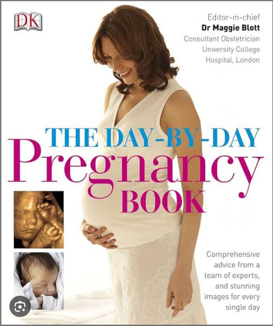 The Day by Day Pregnancy Book